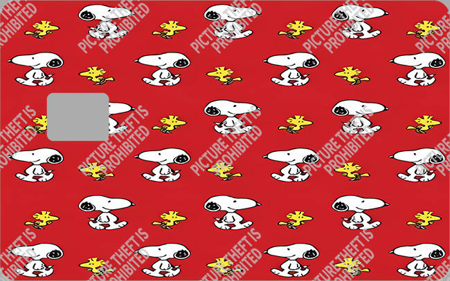 Bank  Card Sticker-BC-3983